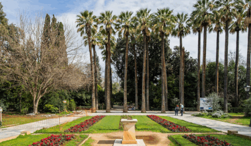 Ψηφιακή ανάδειξη της χλωρίδας του Εθνικού Κήπου